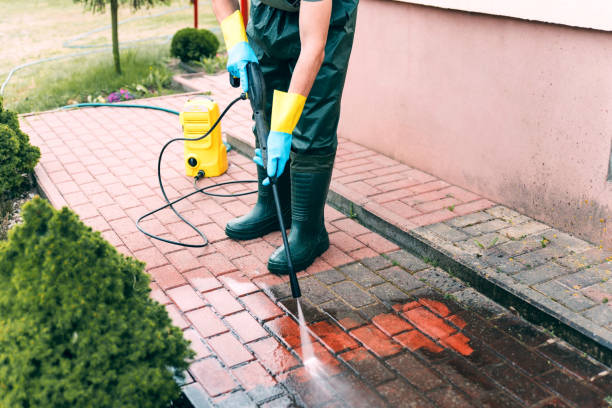 Best Fence Cleaning  in Ishpeng, MI